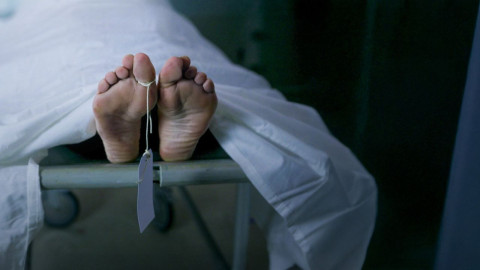 Amazing True Crime backdrop