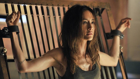 🇩🇪 MARVEL & Warner Brothers (WB) [DC] CN backdrop