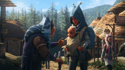 STABIL DUDE backdrop