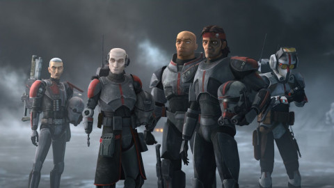 STABIL DUDE backdrop