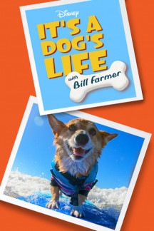 Ein Hundeleben mit Bill Farmer