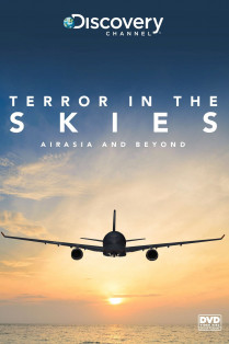 Flugzeugabstürze hautnah