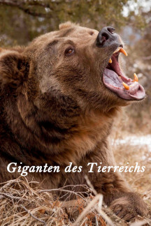 Giganten des Tierreichs