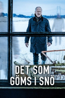 Was der Schnee verbirgt