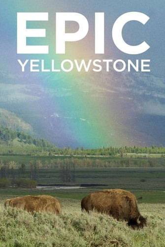 Yellowstone – Park der Extreme
