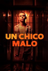 Poster, Bad Boy Serien Cover