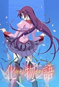 Bakemonogatari Cover, Poster, Bakemonogatari DVD