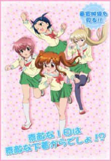 Chu-Bra!! Cover, Poster, Chu-Bra!!