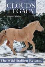 Staffel 1 Cover, Poster