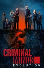 Cover Criminal Minds, Poster, Stream
