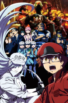 Hataraku Saibou Black, Cover, HD, Serien Stream, ganze Folge