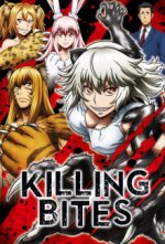 Staffel 1 Cover, Poster