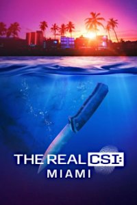 Cover The Real CSI: Miami, The Real CSI: Miami