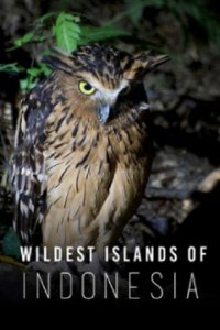Wildes Indonesien Cover, Poster, Wildes Indonesien DVD