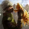 Profilbild Gavel, Avatar