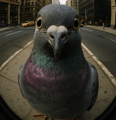 Admin Avatar, Admin Profilbild